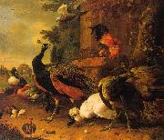 Melchior de Hondecoeter Birds in a Park oil painting on canvas